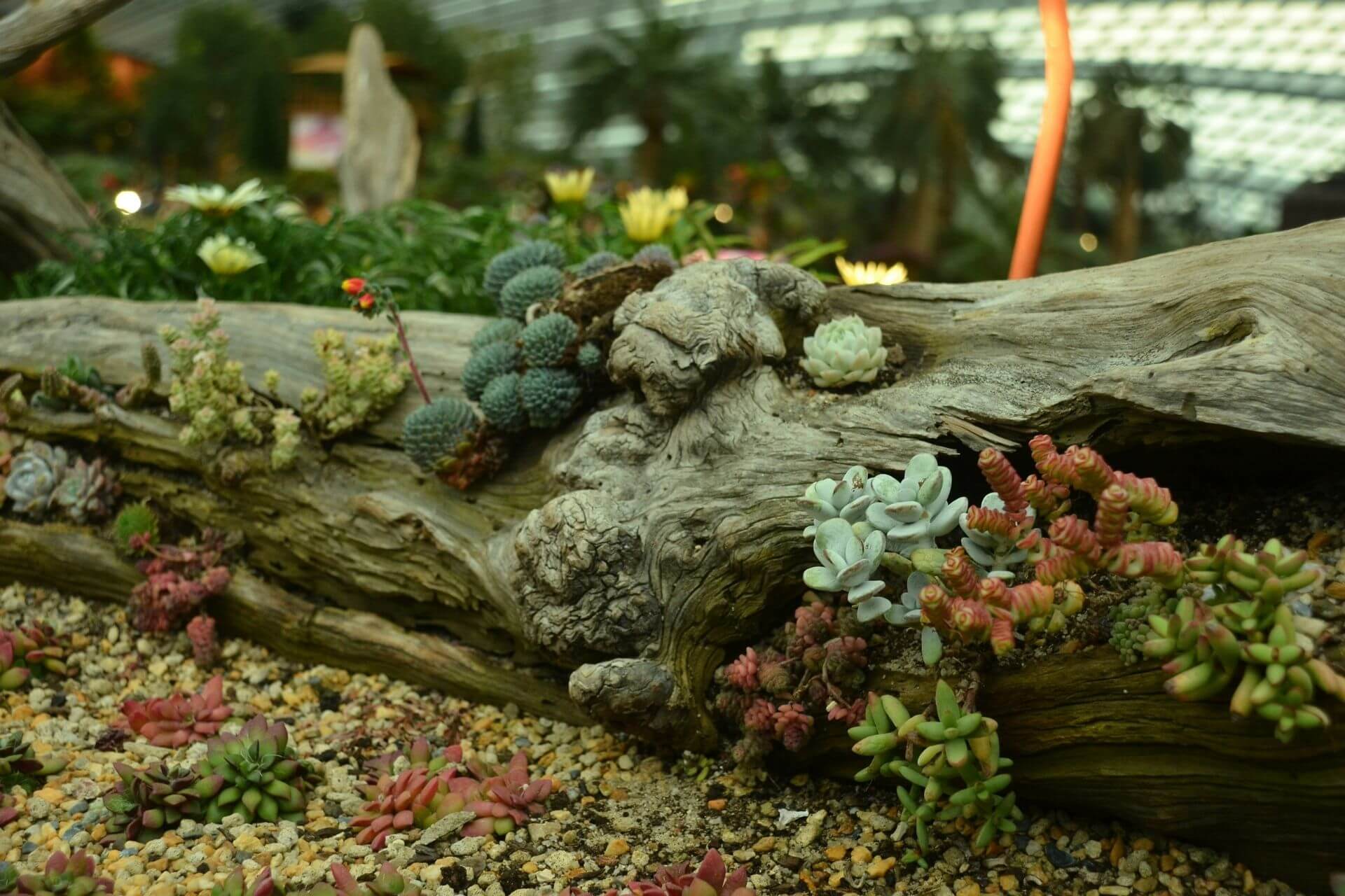 Elevate Small Gardens: 8 Trendy, Stone Landscaping Ideas According to Pros