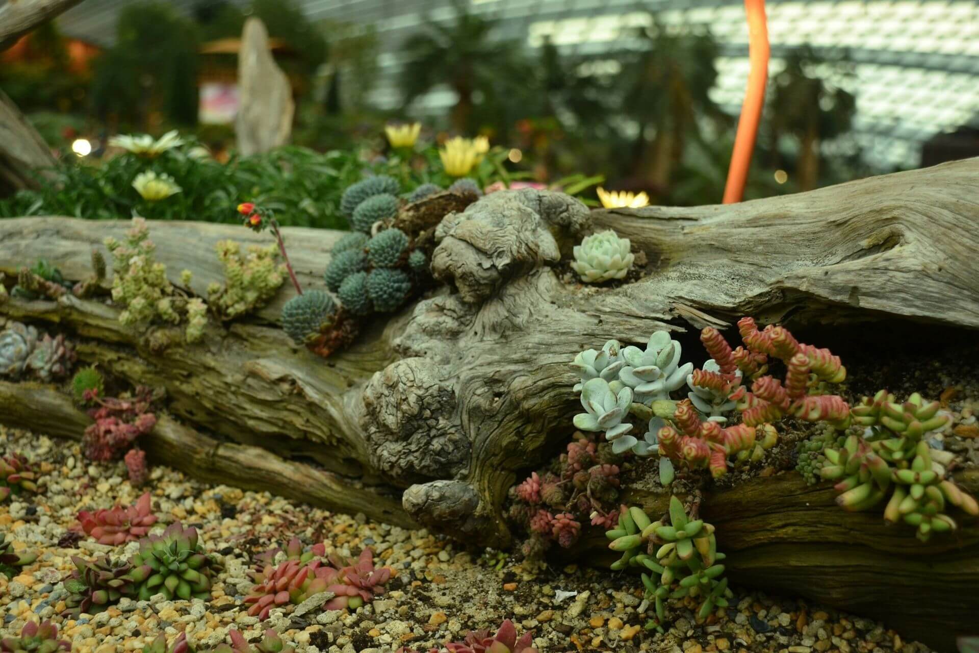 Expert Secrets for Eco-Landscaping: Creating Your Native Landscape in 2025