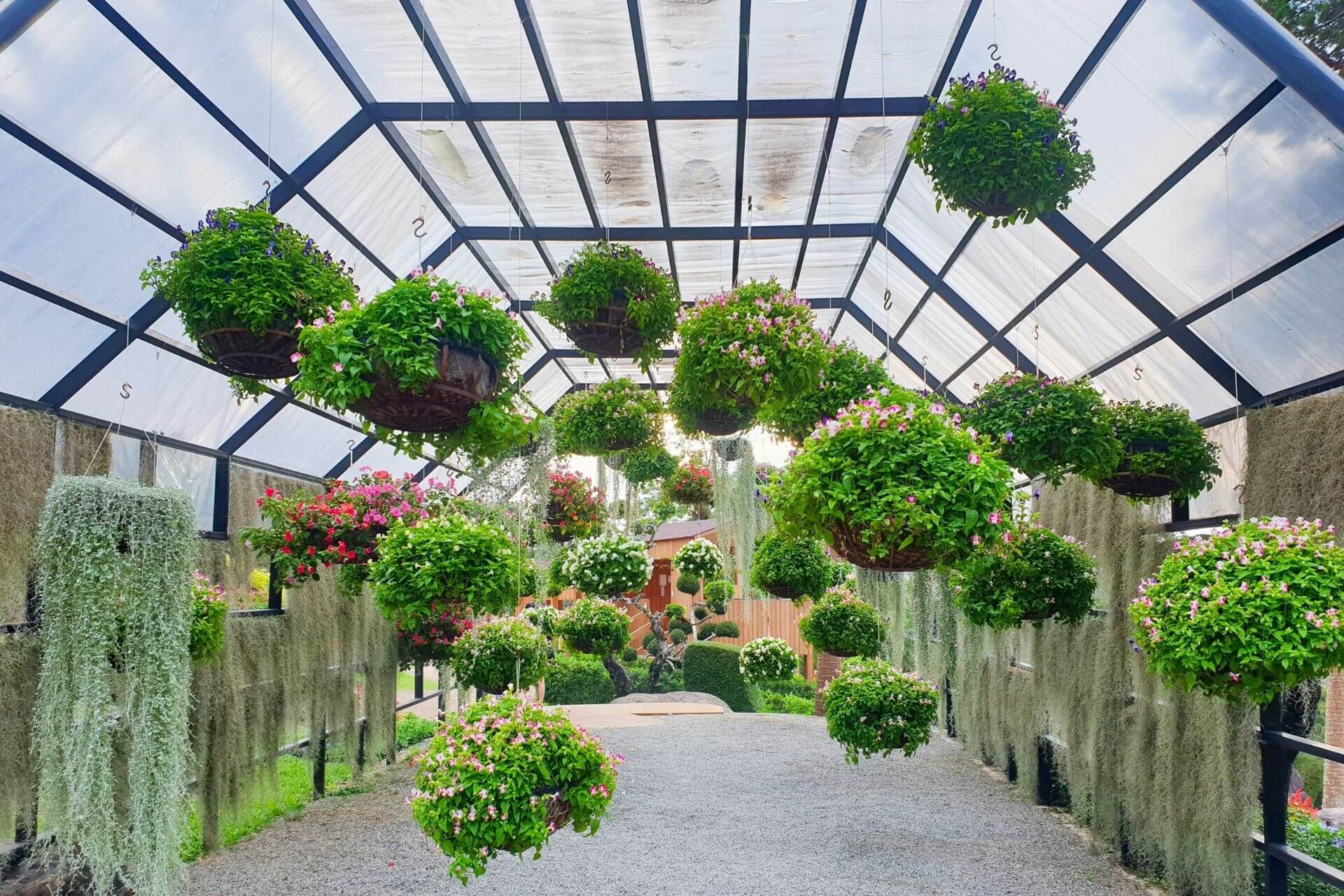 2025 Garden and Landscaping Trends: Embracing Cut Flower Borders and Edimentals, Plus More