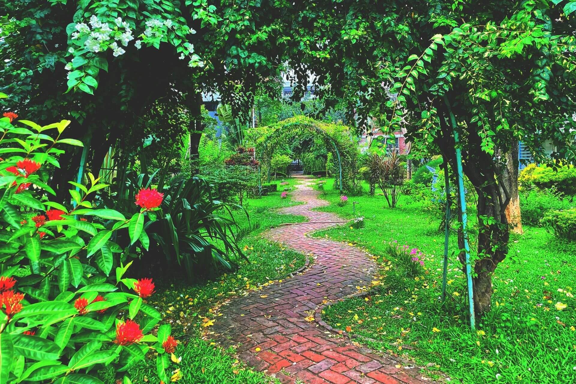 Garden Pathway Ideas for Small Spaces: Maximizing Functionality and Style
