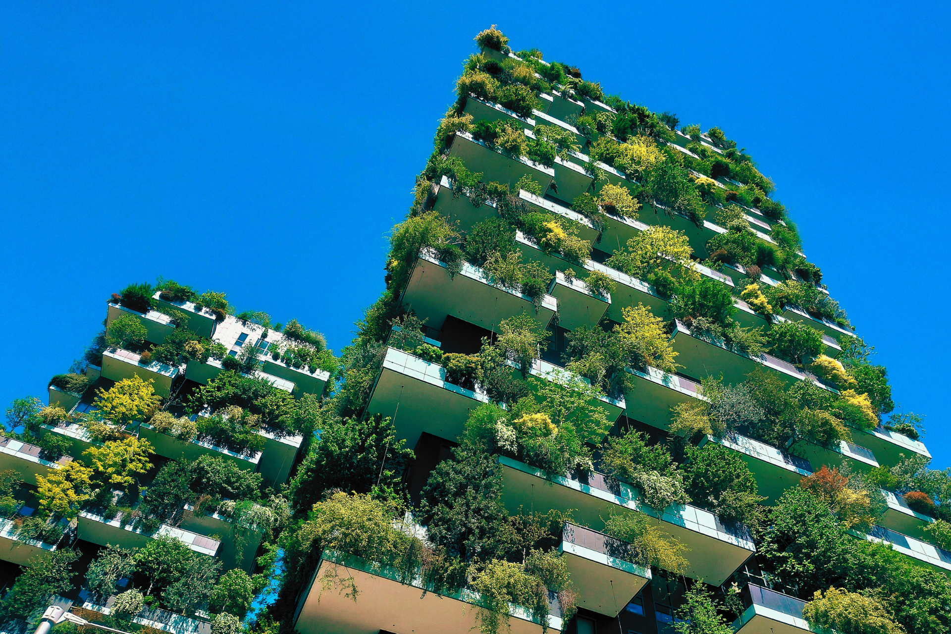 Establishing Sustainable Apartments: Your Guide to Incorporating Nature in Small Urban Spaces