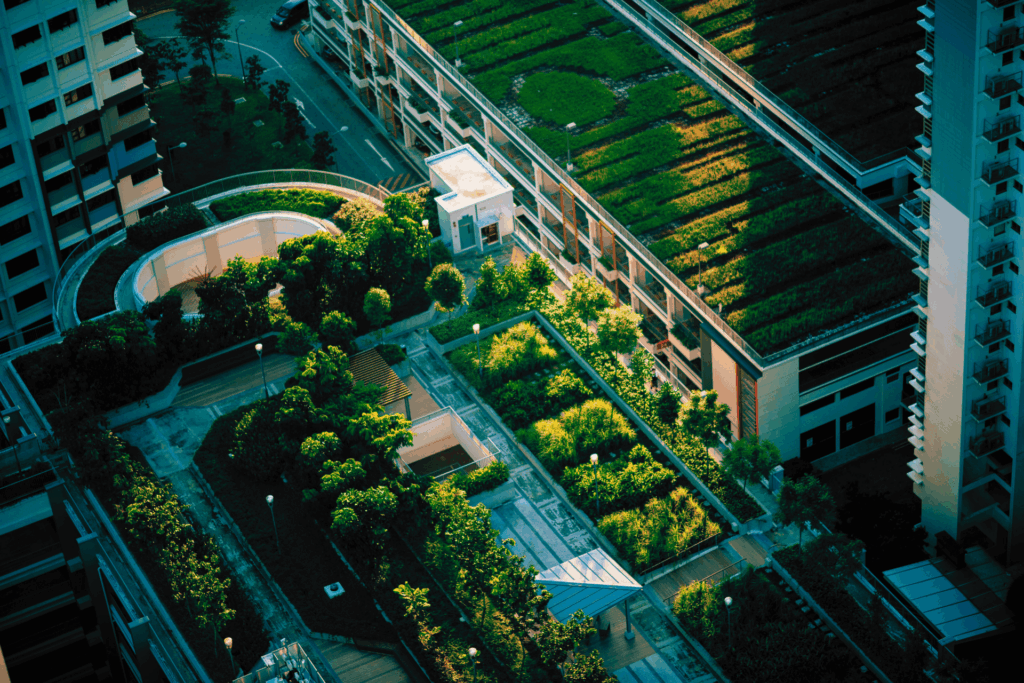 An aerial photo of green roofs on buildings.