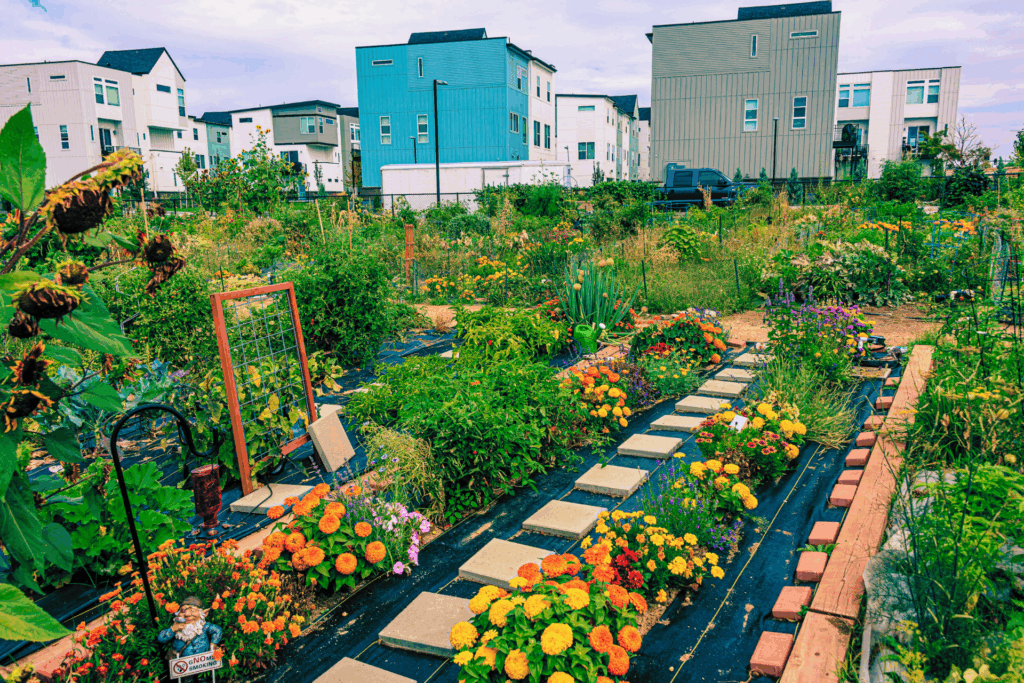 Picture of an urban courtyard with flowers, hardscape elements like stones and small shrubs.